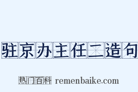 驻京办主任二造句是什么意思的图片